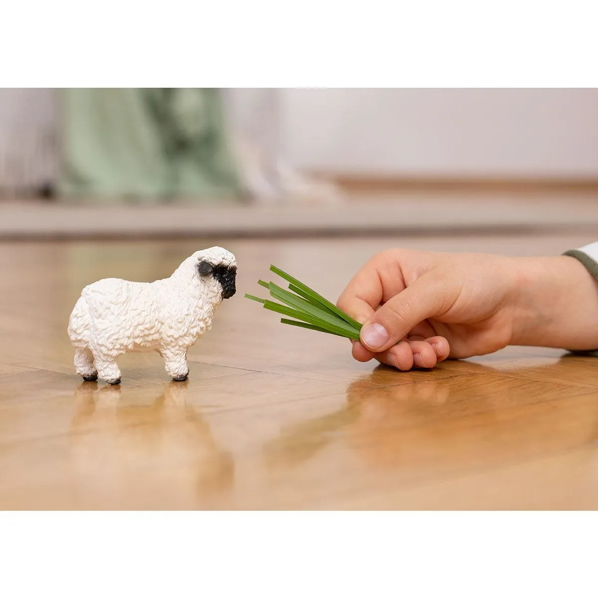 Valais Blacknose Sheep 13965